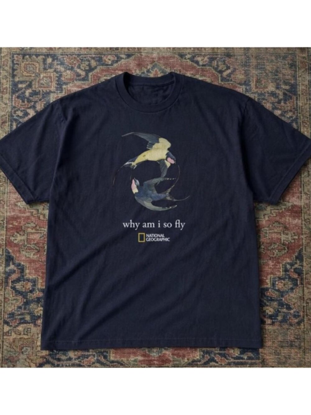 National Geographic "Why am I so fly" unisex t-shirt